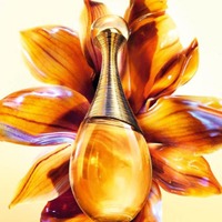 ディオール、リアーナがミューズの香水「ジャドール インテンス」3月17日先行発売 画像