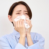 日本で今、花粉症が増えている理由。乳酸菌飲料を飲んでも改善しない人の特徴とは【医師監修】 画像