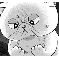 魔術師が作った液体をかけられたら、猫になっちゃった！早く神殿に帰りたい！【根暗騎士による溺愛満喫中のブサ猫、実は聖女です！#19】 画像