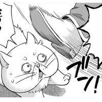 「ぶっさいくな猫だなぁ」神殿に入りたいのに、門番に冷たく追い払われる！【根暗騎士による溺愛満喫中のブサ猫、実は聖女です！#20】 画像