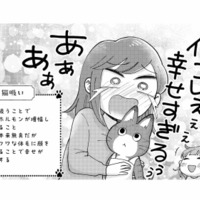 幸せすぎて悶絶…！家事代行でやってきた猫に初めての猫吸い【家政婦よんだら猫がきた #８】 画像