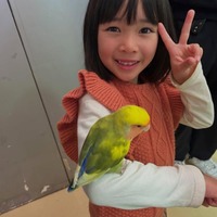 子役・倉田瑛茉、ウェーブヘアで雰囲気ガラリ 小学校入学記念ショットに「お姉さんになってる」「印象違いすぎてビックリ」の声 画像