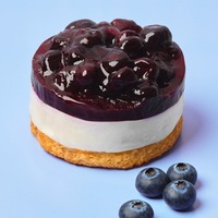 【スタバ日本上陸30周年】春を彩る新作フード5種登場「ブルーベリーレアチーズケーキ」ほか 画像