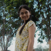 大量の束のサトウキビが迫りくる…『サトウキビは知っている』本編映像＆アザービジュアル 画像