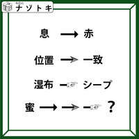 クイズです！「息が赤に、位置が一致に変化」それぞれの矢印の法則から、隠れた言葉を見つけましょう【難易度LV.３・中辛】 画像