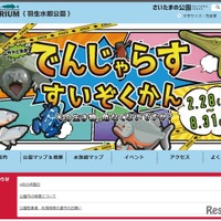 【GW2026】さいたま水族館など5/5子供無料に…県営公園イベントまとめ 画像