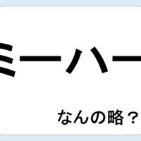 【クイズ】ミーハーって何の略だか言える？意外に知らない！【GWスペシャル略語クイズ】 画像