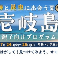 【夏休み2026】壱岐島、親子向けプログラム参加者募集 画像