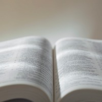 英単語や文法は知っているハズなのに…長文になると読めない！書けない‼生成AIで「英語力」が伸びるってホント？【使い方実例つき】 画像
