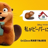 ピクサー史上衝撃度No.1『私がビーバーになる時』ディズニープラスで6月10日より独占配信 画像