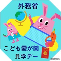 【夏休み2026】さかなクンと「おさかな外交」を学ぶ7/30…こども霞が関見学デー 画像