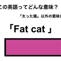 この英語ってどんな意味？「Fat cat」 画像