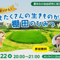 【夏休み2026】自由研究にそのまま提出…「棚田のひみつ」親子オンラインセミナー7/22 画像