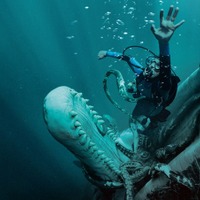 クジラの体内から脱出しろ！絶体絶命のサバイバルスリラー『クジラに落ちた男』ポスター＆場面写真 画像