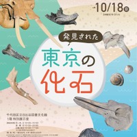 特別展「発見された東京の化石」日比谷図書文化館で8/29から 画像