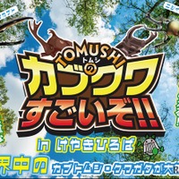 【夏休み2026】世界の人気昆虫が大集合…けやきひろば7/18 画像