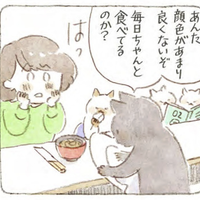 肉球天国⁉「化粧ノリも悪いし、夕方には目が霞む…」落ち込む女性に、思いがけない“ご褒美”が【深夜３時のくろねこ喫茶 #３】 画像