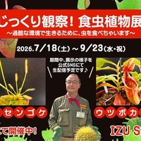 【夏休み2026】伊豆シャボテン動物公園「食虫植物展」7-9月…自由研究にも 画像
