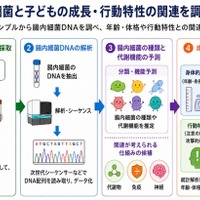 未就学児の腸内細菌、睡眠や情緒との関連を確認…金沢工業大・三重大 画像