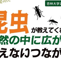 【夏休み2026】杏林大、公開講演会「昆虫が教えてくれる」 画像