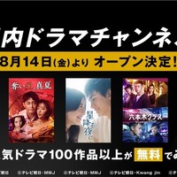 ABEMAが「国内ドラマチャンネル」開設、「星降る夜に」「ホリデイラブ」など100作品以上が無料に 画像