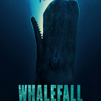 「助けて！」クジラに丸呑みされた青年の運命は…『クジラに落ちた男』本予告＆ポスター 画像