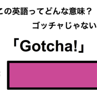 この英語ってどんな意味？「Gotcha!」 画像
