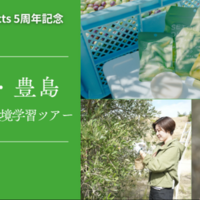 瀬戸内・豊島でオリーブ収穫＆環境学習ツアー10/25…小4以上対象 画像