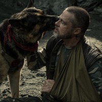 ブラッド・ピット「本当に素晴らしい」人間と犬の絆に注目『ハート・オブ・ビースト』特別映像 画像
