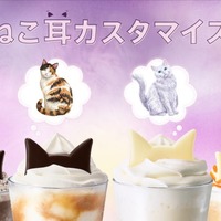 スタバ、“ねこ耳カスタマイズ”スタート ハロウィン彩る2つのモカも登場 画像