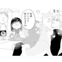人間だけじゃなく柴犬にもモテモテ!? イケメン社長の周りにワンコが大集合【九条社長は秘書の私をお世話したい #15】 画像