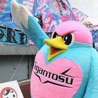 サガン鳥栖、新シーズンの背番号を発表!高橋祐治が3番、安在和樹は24番 画像