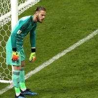 W杯でまさかの大ミス…スペイン代表GKデ・ヘアに、同僚DFがブチ切れ？ 画像