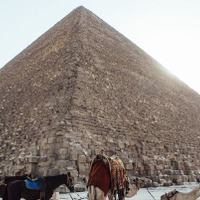 今知るべき！「エジプトのRBライプツィヒ」ピラミッドFCを知っているか 画像