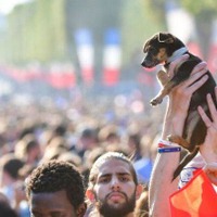 フランス優勝の裏で醜い映像が…ファン暴動で500名以上が逮捕、死者も 画像