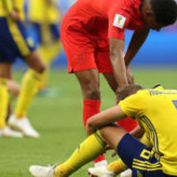 イブラヒモヴィッチ、W杯のスウェーデン代表に感動!「ありがとう」 画像