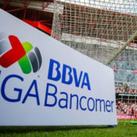 本田がプレーしていたメキシコ、八百長でFIFAが捜査か 画像