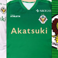 東京ヴェルディ、2019新ユニフォームを発表!現エンブレムは「見納め」に 画像
