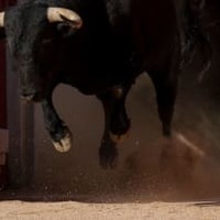 暴走した動物がピッチへ!選手が「病院送りのタックル」喰らう 画像