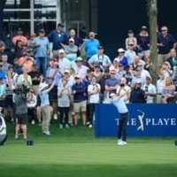 欧州から米国への渡航の停止 米ツアーではチケットの払い戻しの対応も 画像