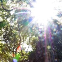 無数の「声なき声」が聞こえてくる 画像