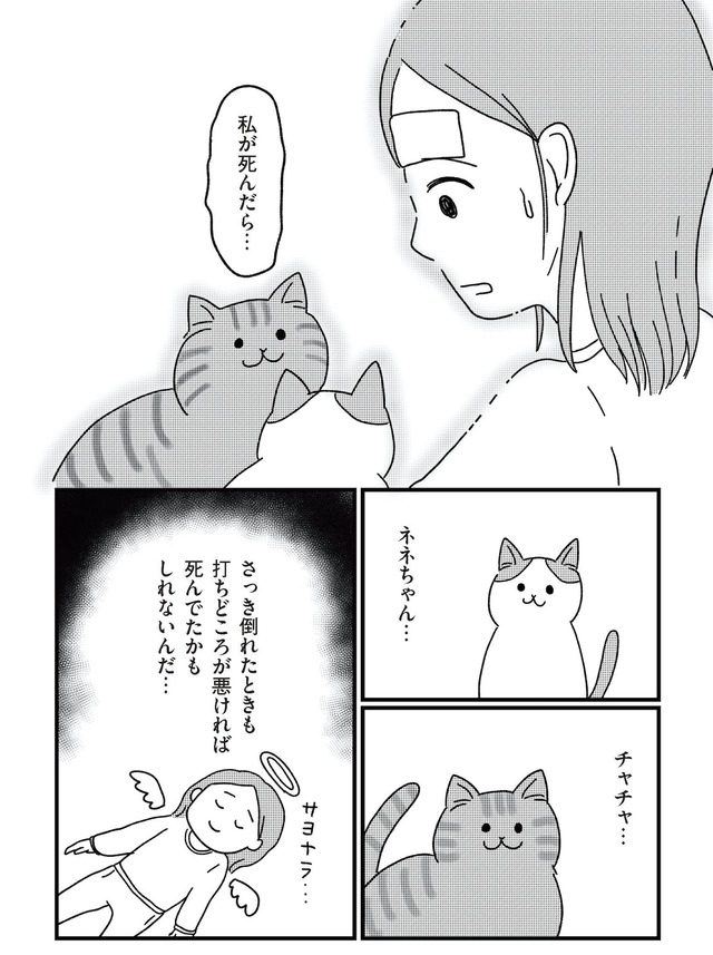 ねこ婚 猫のための交際ゼロ日婚