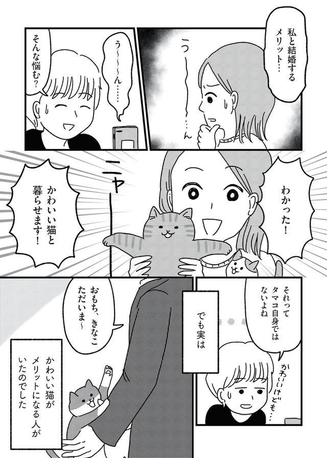 ねこ婚 猫のための交際ゼロ日婚