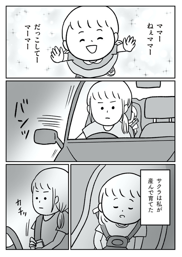 うちの子、誰の子？ もしもわが子が取り違え子だったら