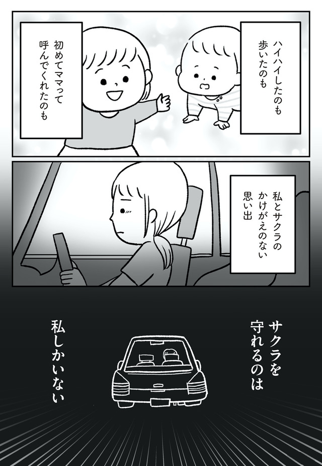 うちの子、誰の子？ もしもわが子が取り違え子だったら