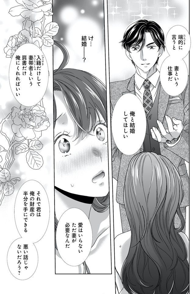 オペラ座のシンデレラ~王子様は極上御曹司~