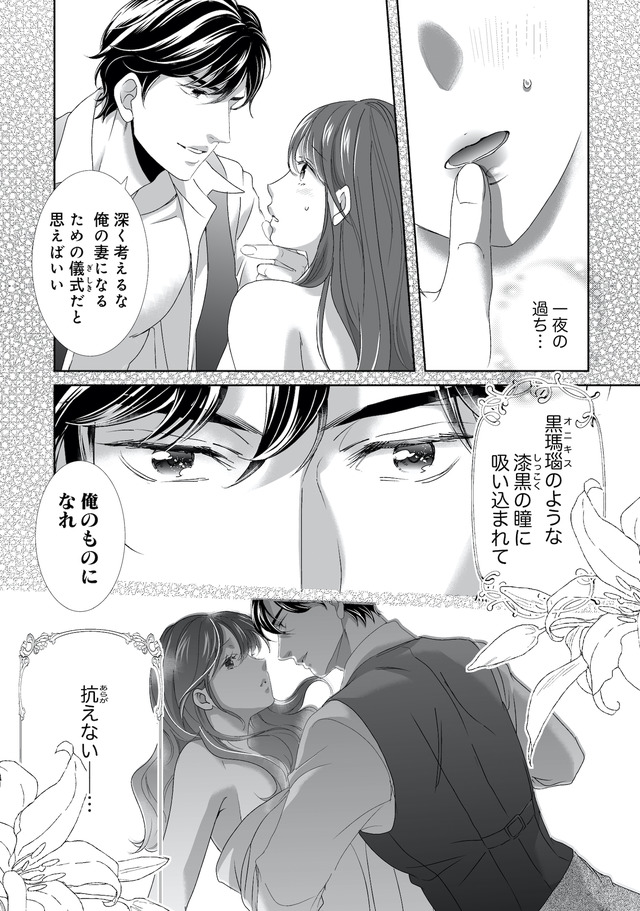 オペラ座のシンデレラ~王子様は極上御曹司~