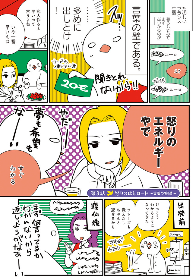 フランスはとにっき: 海外に住むって決めたら漫画家デビュー