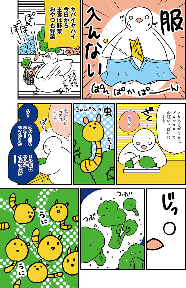 フランスはとにっき: 海外に住むって決めたら漫画家デビュー