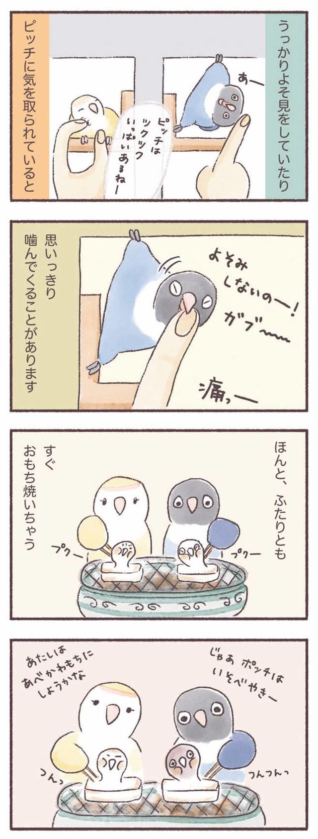 うちのインコたちは今日もおしゃべり